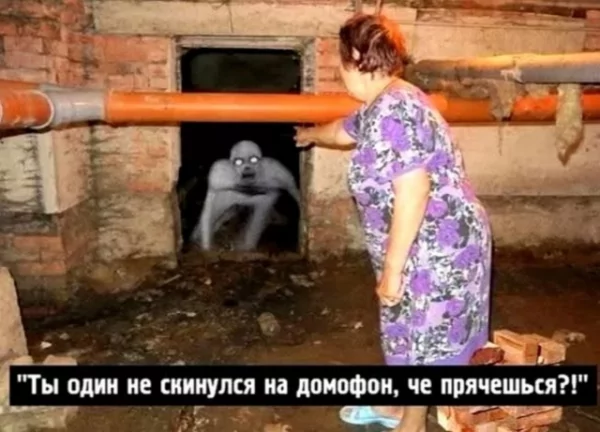 file_99805300