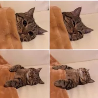 *