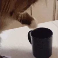 *