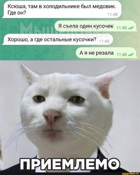 73c61da88b460bd20ec21421f6bb0668f95e5bc27192dacbc 1