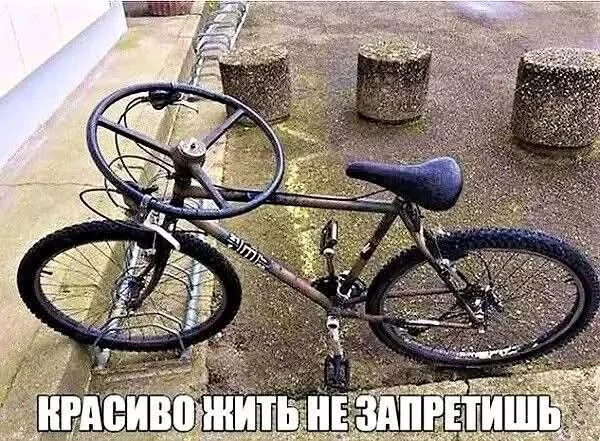 FB IMG 1747143755858