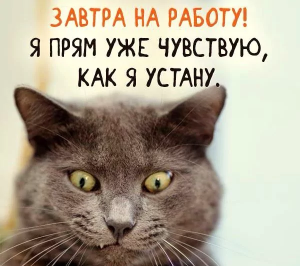 Na-raboty-18