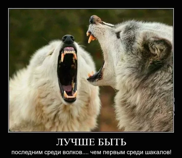 file_99845592