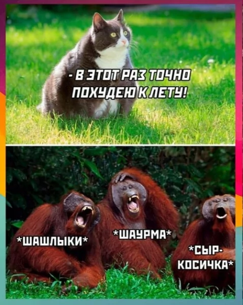 x500