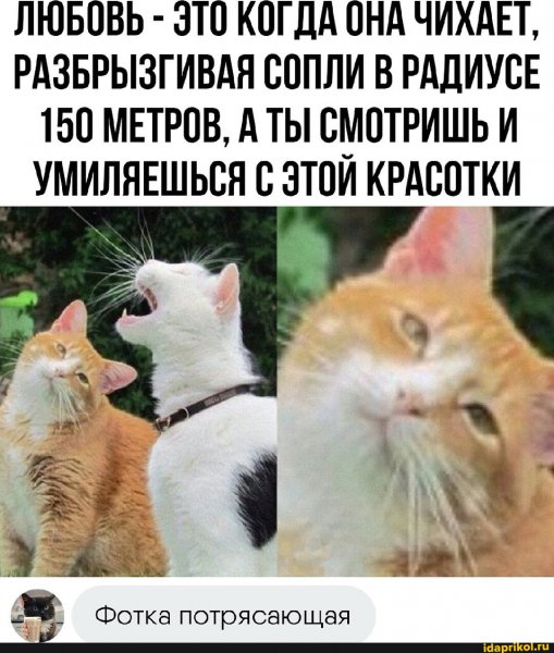 19b5984ecef41ab2d73ffe811bd1b7bb25d26243ff374eaabc 1