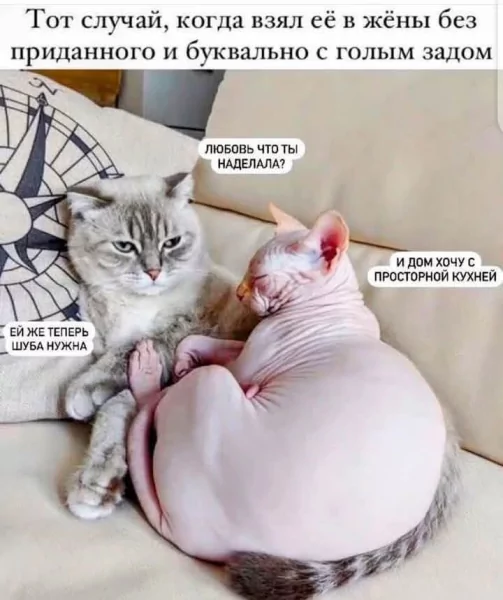 FB IMG 1746979089727