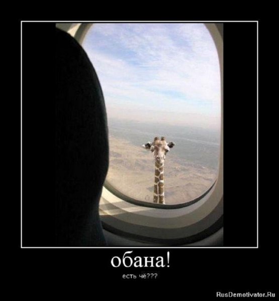 ОБА НА...