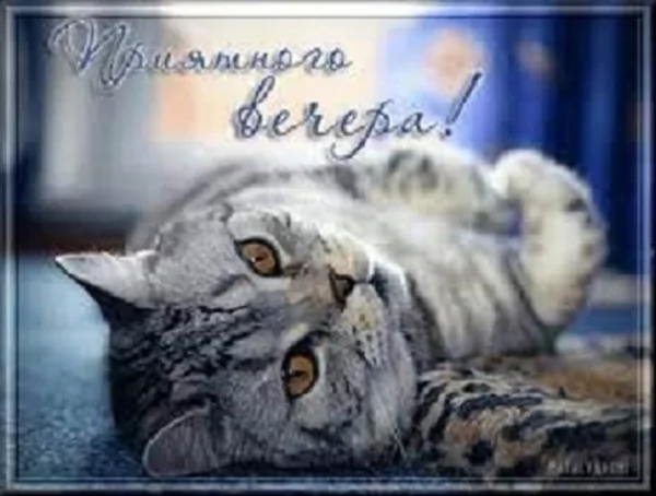 Приятного вечера