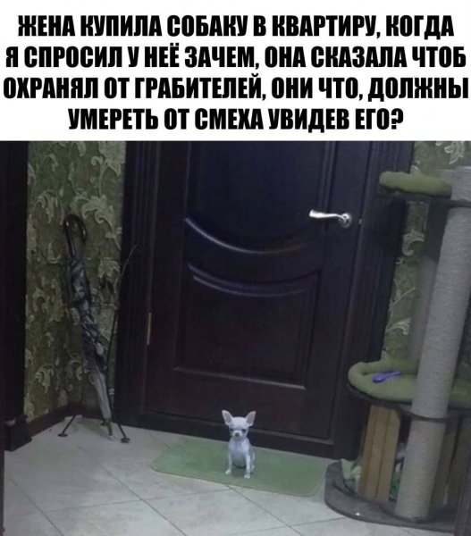 MGB285Afpyd0-p22Q79g8mfp1hQ6zeOn6WBwHApGVZPrXtDvUcoiRbmjaR