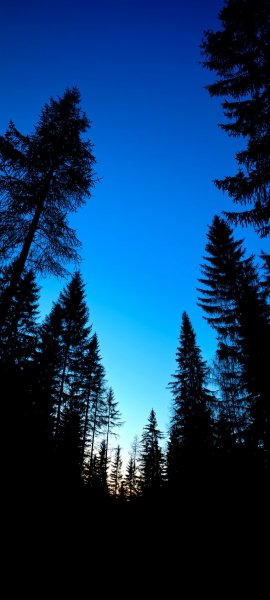 file_99736372