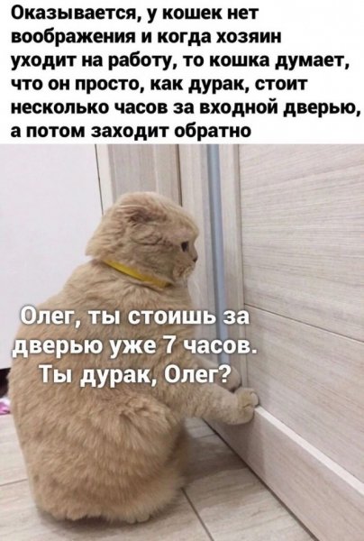 file_99799225