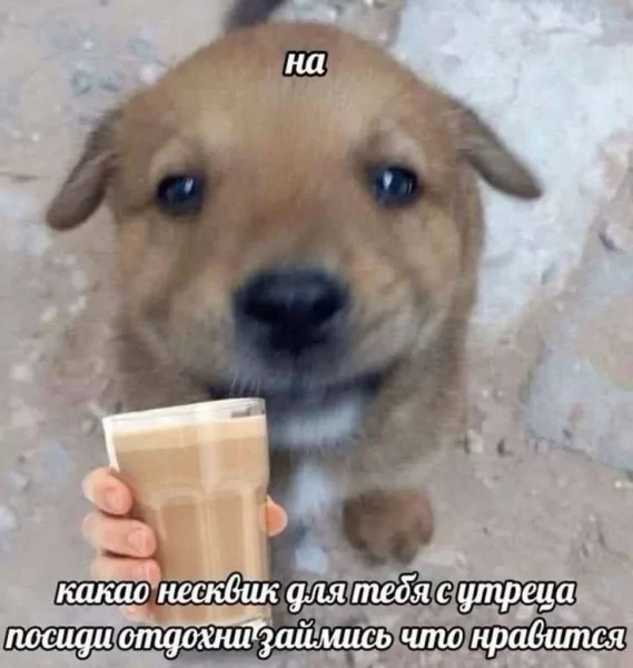 Жаль что в школе повар иными словами предлагал какао: