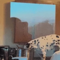 *