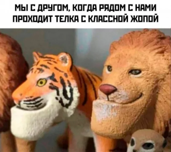 file_99799237