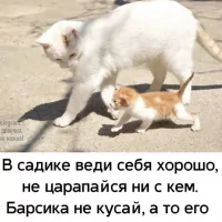 *