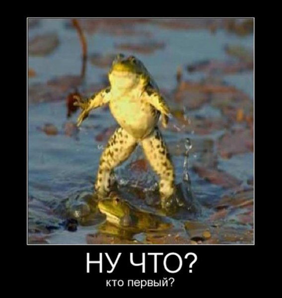 Кто первый?