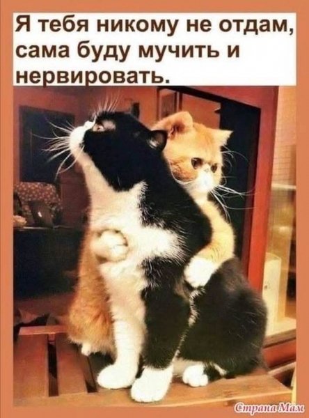 FB IMG 1746701713486