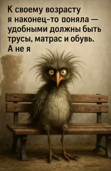 FB IMG 1747413959804