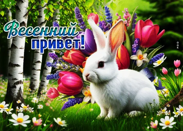 file_99658261
