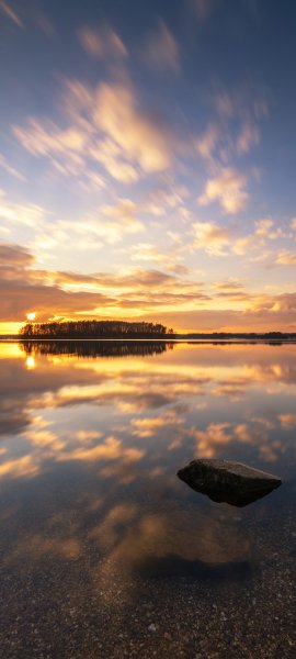 file_99741120