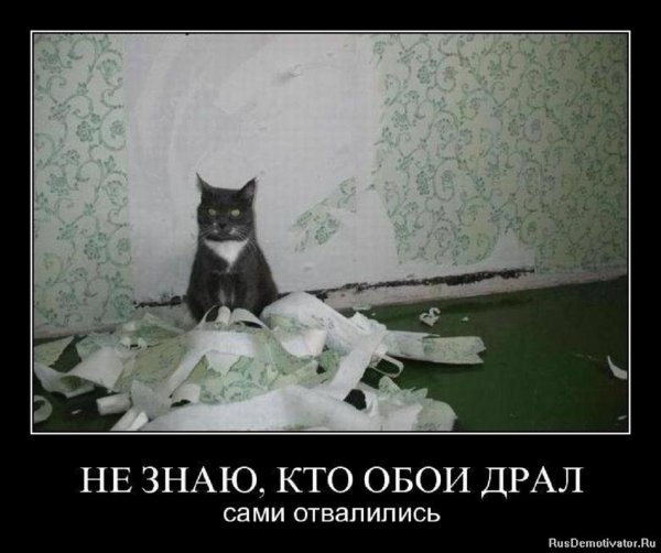 Обои сами отвалились
