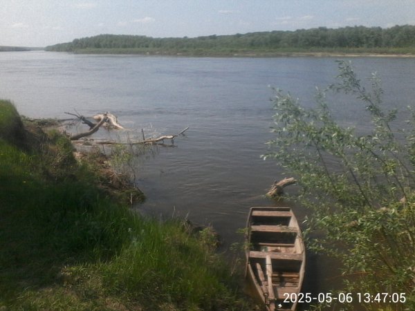 file_99735252