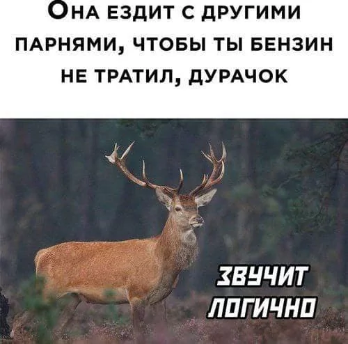 file_99799952