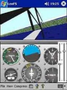 leos flight simulator