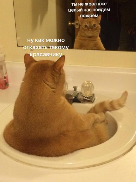 3kpgZq-PpQPGdqvADwYGIRopwwHYG1ftJ2qntEt0r5LE