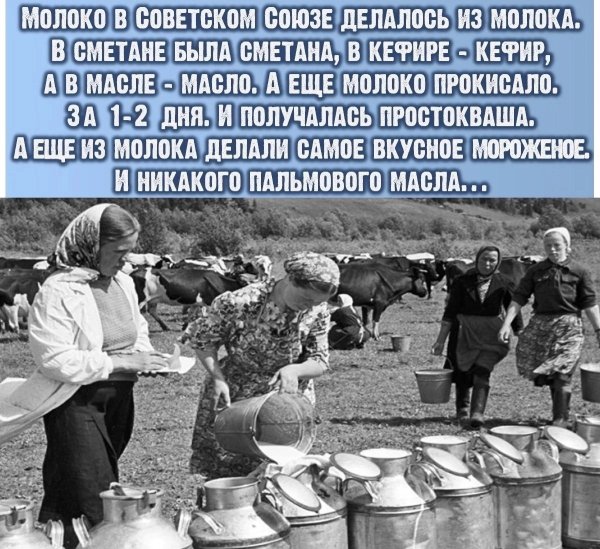file_99480616