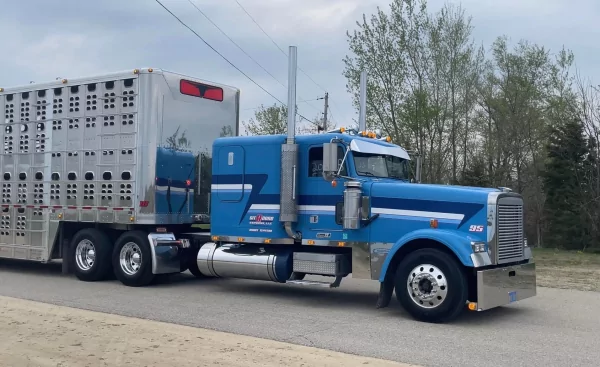 FREIGHTLINER FLD.132 CLASSIC XL