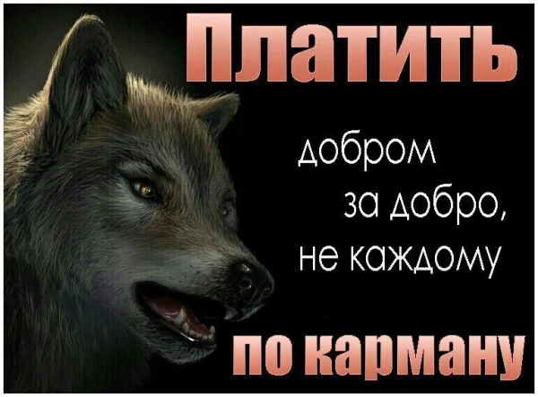 IMG 20250510 044708