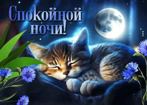 file_99727752