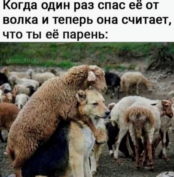 file_99799212