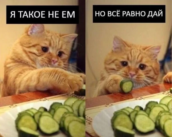 FB IMG 1746851142812