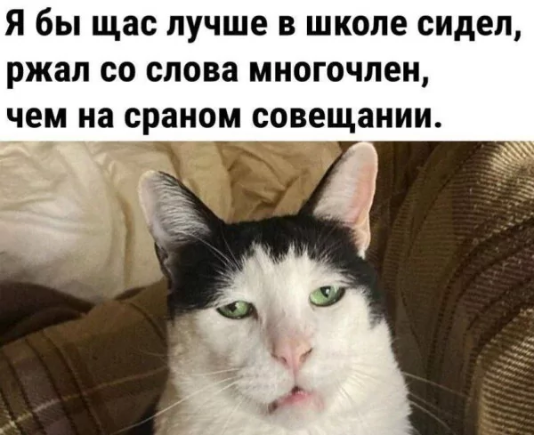 file_99751365