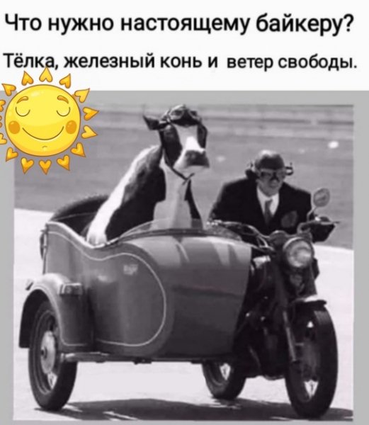 file_99786199