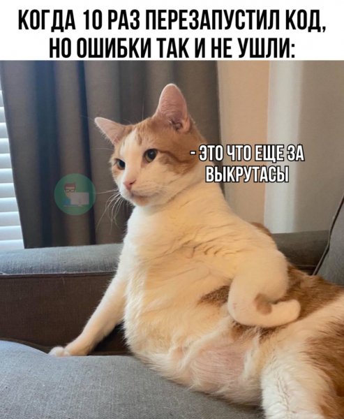 Rticles standart