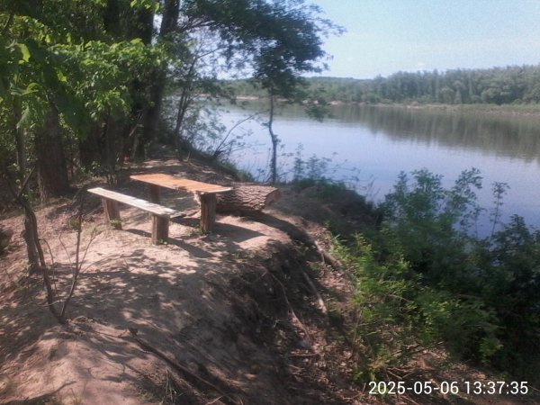 file_99735250