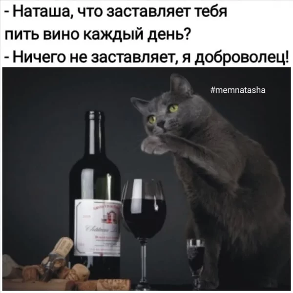 FB IMG 1747242226022