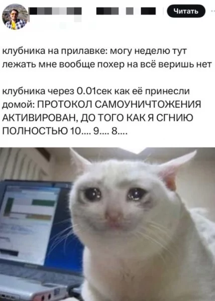 file_99752900