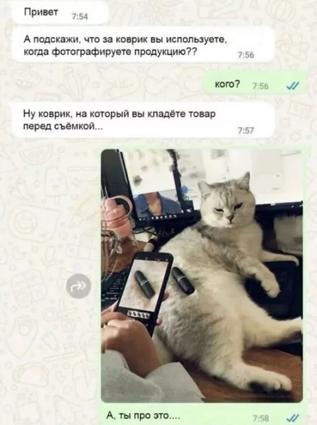 x500