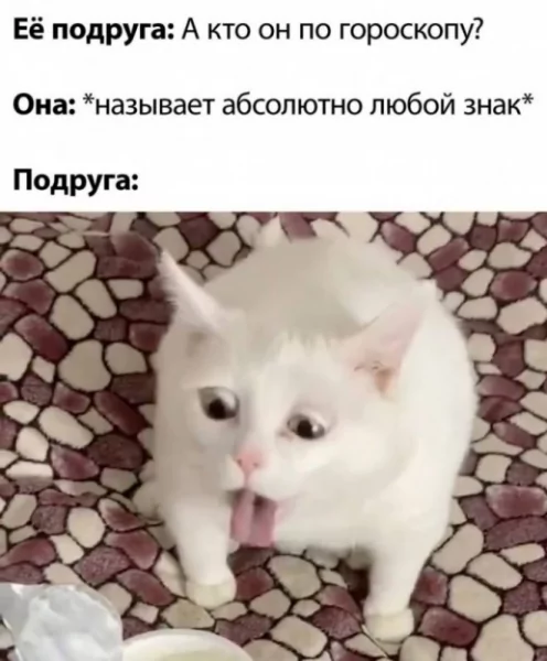 file_99799238
