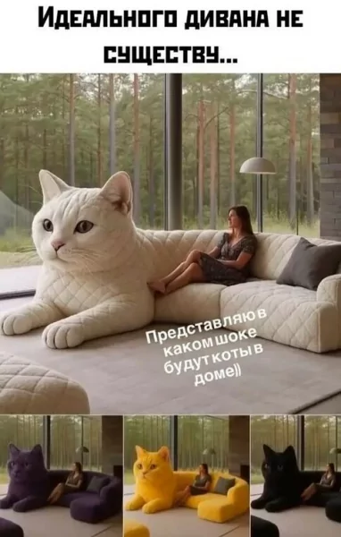 x500