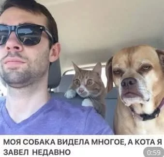 FB IMG 1747060696542