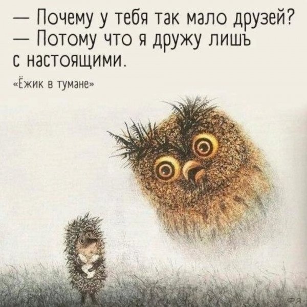 IMG 20250510 185642734