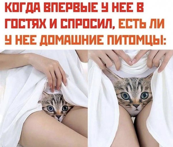 IMG 20250510 105517 088