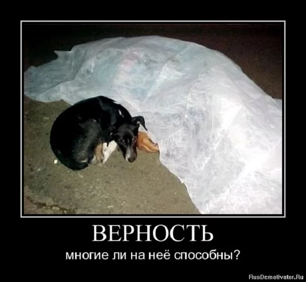 Верность