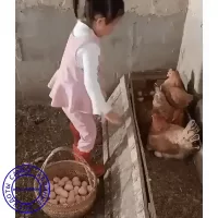 *