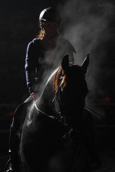 Horse and Girls 4